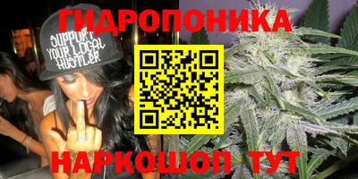 mdpv Партизанск