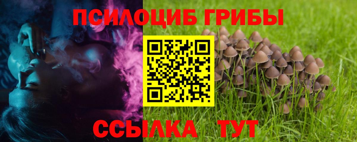 Тавда  Галлюциногенные грибы Psilocybe  Вход с VPN 