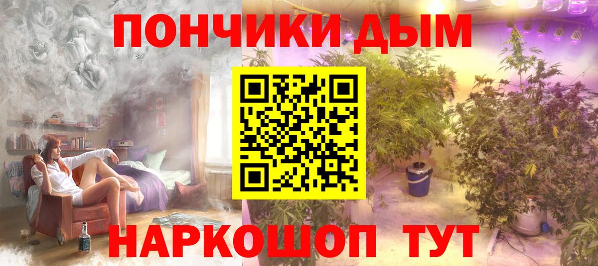 Шишки марихуана семена Тавда